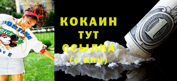 соль ск Арсеньев