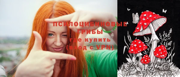 соль ск Арсеньев