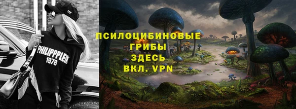 соль ск Арсеньев