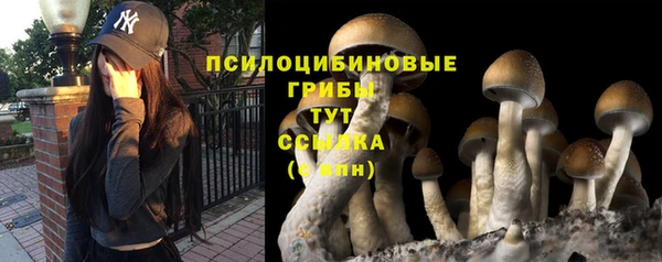 хмурый Армянск